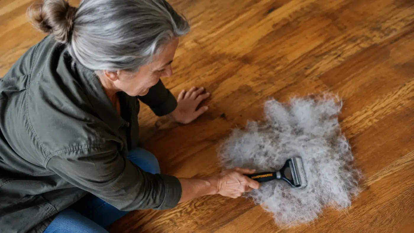 Close-up of double-sided grooming rake with loose dog fur caught between the tines, held over a pile of collected hair