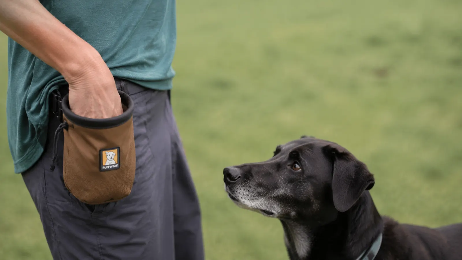 Hand reaching into an open treat pouch during a heel drill, dog's eyes focused on the handler's hip