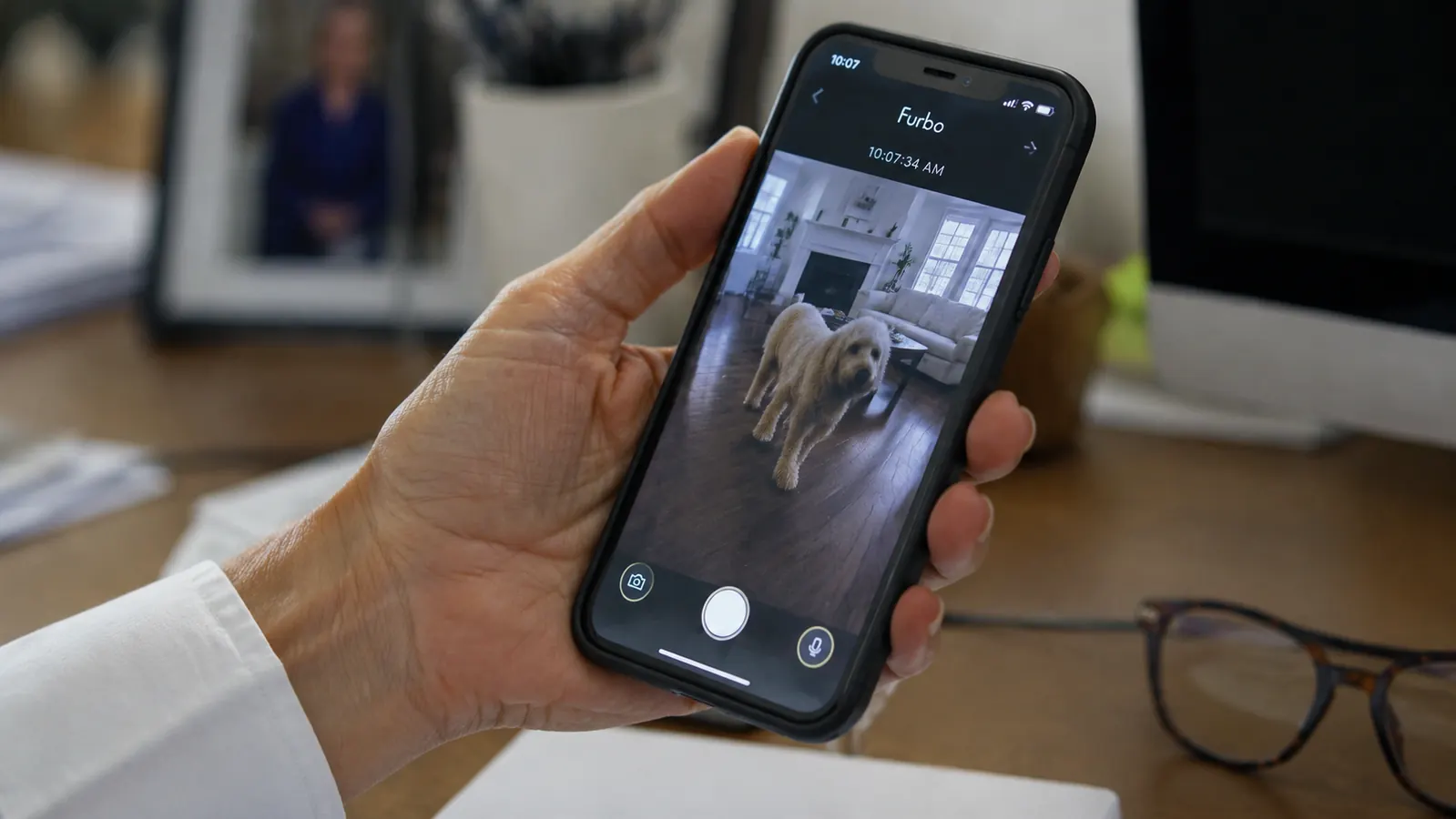 Phone screen showing the Furbo app live view of a dog pacing in a living room
